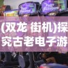 (双龙 街机)探究古老电子游戏的魅力：记忆中那个名叫《双龙》的街机游戏
