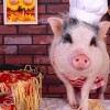 600图库资料大全2025年，鼠、猪、兔、蛇，及800图库2026免费资料下载-系统分析、专家解读解释与落实,小心诱导式宣传
