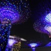 2024澳门今晚开奖记录|未来科技探索之旅_梦幻版5.559