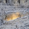 (英雄崛起heroesrise)一代掌门后期t0英雄崛起：传奇故事揭示真正的勇者