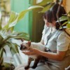 (遇见你的猫手游)遇见你的猫内置菜单：探寻与宠物相遇的奇妙世界