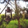 四季合合攻略：玩转春夏秋冬，揭秘四季风景，带你穿梭时光和空间！
