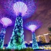 斗战江湖礼包激活码免费领取，限时抢购！快来获取独特福利吧！