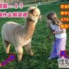 7777778888888精准，狗、龙、鼠、羊，及大三巴的资料论坛,谨防虚假鼓吹危害-基础释义、专家解析解释与落实​