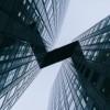 追踪魔兽，解密未知，我是猎妖师小鱼——跨越世界的奇幻猎妖历险精彩纷呈