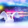 探索幻界之境英雄排行：不同角色的能力评估与战斗策略优化详解