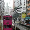 详解《铃兰之剑》全程剧情攻略，图文并茂揭示关键任务解锁步骤和最佳战略选择