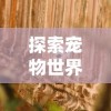 探索宠物世界的奥秘：喵呜次元官方网站领路者——为喵星人们的幸福生活打造专属领地