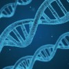 (红尘幻境:跨越三个境界,终见真我真实存在吗)红尘幻境：跨越三个境界，终见真我真实