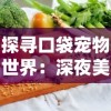 探究佛教与道教关系的代表论述：佛本是道百度百科的详细解读与深入分析