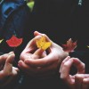 (龙之崛起图文攻略)详解：《龙之崛起》最佳攻略布局图及其背后的战略选择分析