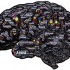 命运使者是什么意思？命运使者是指掌控人生命运的神秘存在吗？