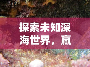 神龙霸业游戏热度上升，夏天苏贝贝崭露头角，脱颖而出引领新玩法潮流