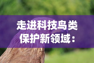 走进科技鸟类保护新领域:揭秘‘丹青寻鹤’App的发展历程与现今情况 走进科技鸟类保护新领域:揭秘‘丹青寻鹤’App的发展历程与现今情况