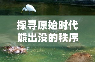探寻原始时代熊出没的秩序:以生态环境变迁角度解析熊类动物的生活习性与生存挑战 探寻原始时代熊出没的秩序:以生态环境变迁角度解析熊类动物的生活习性与生存挑战