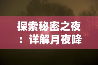 领主传说中的属性洗练技巧，教你如何合理分配属性点和洗练装备属性