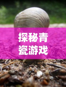 深度解析：《航海王燃烧意志花魁阿玲》如何展现女性独立自强的魅力