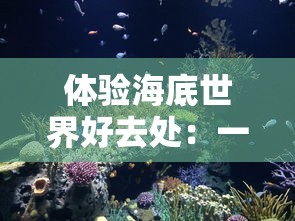 荣耀沙城手游：体验沙城世界的热血激战与策略对决，打造属于你的传奇