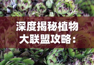 探寻城市脉络，缔造者的智慧与才情：关于城市规划师打造生态文明大都市的全解析