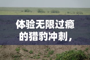 (宝宝直播live官网)全新体验！宝宝直播平台免费安装指南，轻松开启亲子时光