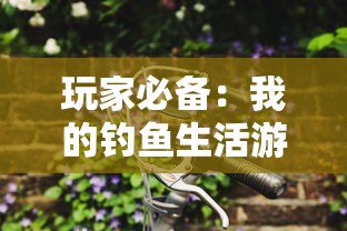 传说法师四人联机mod：史诗冒险之旅，齐心协力战斗对抗恶势力