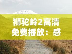 深入解析游族网络打造的高质量游戏——代号西游：技术创新与市场定位的完美结合