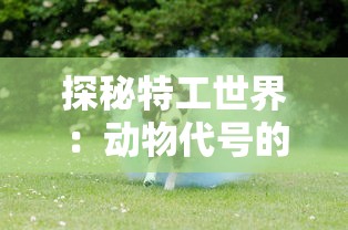 探秘特工世界:动物代号的奥秘与美学——从装饰画到电影文化的跨界解读 探秘特工世界:动物代号的奥秘与美学——从装饰画到电影文化的跨界解读