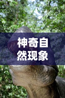 神奇自然现象重塑历史，霸王龙大肚子要生了：探寻史前生命繁衍之谜