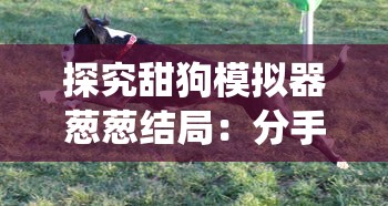 探访元气精灵食堂：一步步教你如何轻松进入这个充满魔法的美食世界