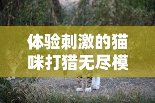 2023年澳门今晚开奖结果查询|实证数据解释落实_传统集.5.397