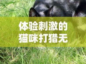 史莱姆农场2：巨型史莱姆分布及其影响玩家收益与游戏策略的深度解析