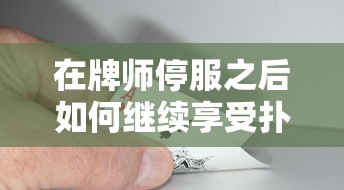 喵苏鲁侦探动画：融合悬疑与幽默的精彩热门动画系列引领观众进入神秘犯罪世界