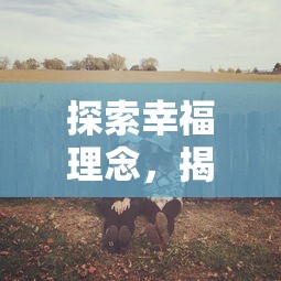 探索幸福理念,揭秘个人选择与机遇汇聚的《我的快意人生游戏》设计思路 探索幸福理念,揭秘个人选择与机遇汇聚的《我的快意人生游戏》设计思路