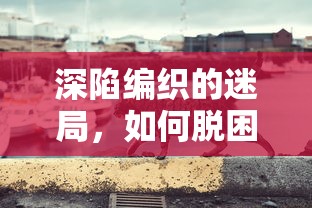 深陷编织的迷局，如何脱困？——专家深度剖析与宠物共享的人生攻略