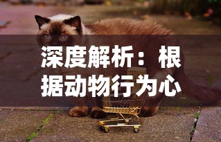 (日本忍者学校)原日本忍者学院改名现象分析：现如何适应全球化教育新模式