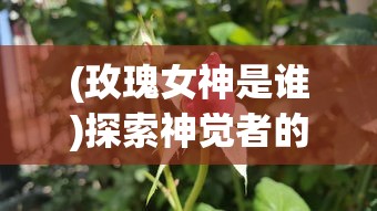 (玫瑰女神是谁)探索神觉者的深度奥秘：玫瑰女王在神秘力量中的绽放与蜕变