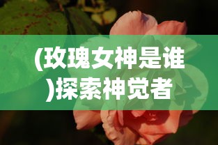 深入解析妖怪幻想乡的魅力：从初入游戏新手到高阶大神的全方位攻略指南