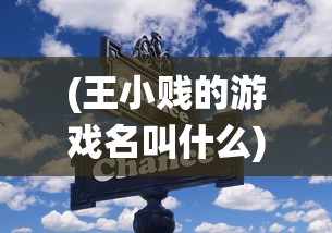 (王小贱的游戏名叫什么)深入解析：掌握这些有效技巧，让你在王小贱仙变3中快速升级