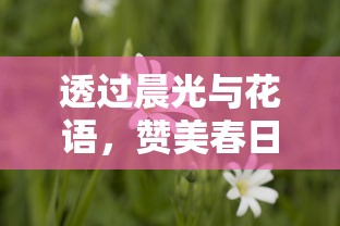 透过晨光与花语，赞美春日青春少年的日服之美：早安我的少年，和你一同迎接希望的曙光