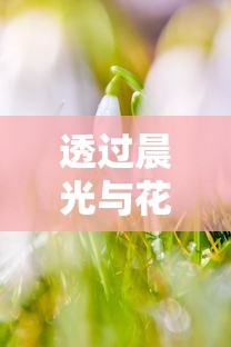 透过晨光与花语，赞美春日青春少年的日服之美：早安我的少年，和你一同迎接希望的曙光