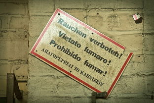 (彝族的英雄史诗)彝族英雄：传奇故事与民族精神传承【图片】