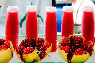 水果忍者中文版2015：刺激的果汁切割游戏，带你体验最原汁原味的果实乐趣！