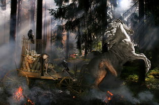 (艾莉攻略)探索神秘世界，一起畅游！艾莉同学手游带你开启奇幻冒险之旅