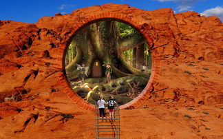 (无限冲激响应滤波器(iir)算法实验)深入探讨无限冲击响应滤波器在信号处理中的应用与设计原理