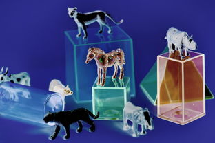 (来古弥新角色有哪些)来古弥新人物全攻略：详细图鉴与角色背景一网打尽