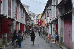 新澳门综合走势图|探寻城市中的隐秘美景_3DM6.837
