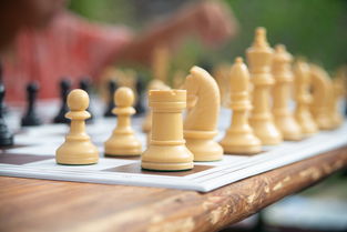 (双人同屏自走棋)双人自走棋：携手竞技的策略对战，挑战你的智慧与默契！