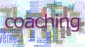 在餐厅萌物语游戏中遇到邀请码填写无效？可能原因及解决方案一览