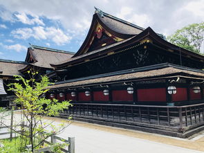 (大唐盛世的文化)探寻大唐盛饰之美:历史、文化与工艺的完美结合 (大唐盛世的文化)探寻大唐盛饰之美:历史、文化与工艺的完美结合