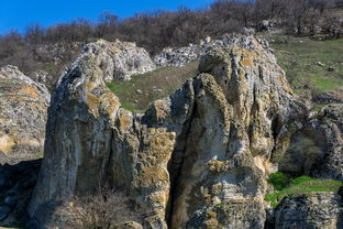 (天下争霸三国志官网)天下争霸三国志h5攻略大全，让你成为最强玩家！